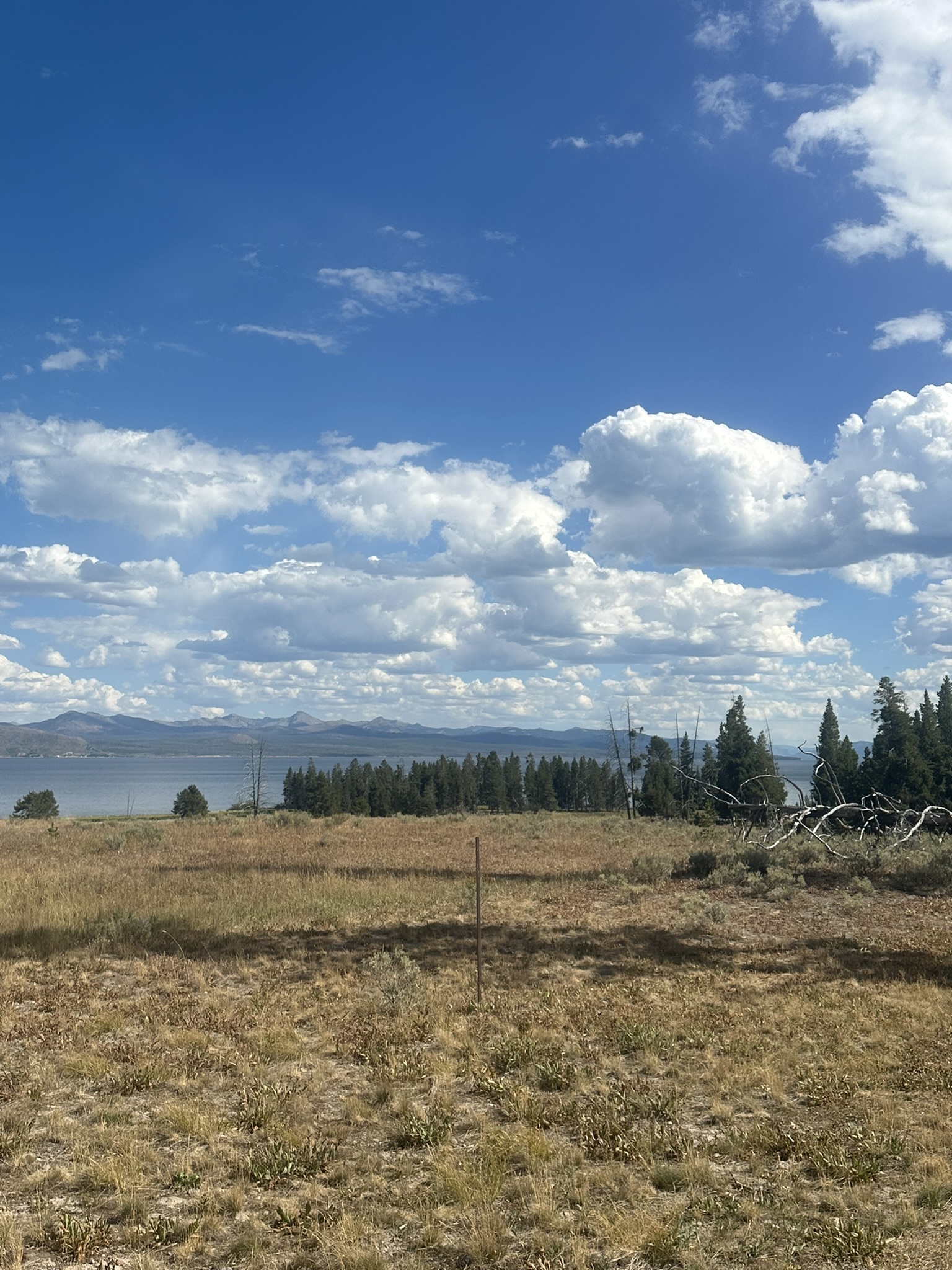 Yellowstone And Grand Teton National Parks - Image 1460